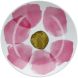 Набір тарілок на 6 персон 18 шт GALLIPOLI Unitable Rose&Tulipani R18250TA18
