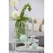 Декоративный элемент &Oslash;8x8 см CORAL стекло зеленое Light&Living 7492676