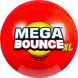 Надувний м'яч Wicked Mega Bounce XL 251 см два кольори WKMBX