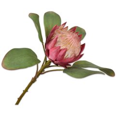 Протея, стебло, рожева, 65 см Silk-ka 138374