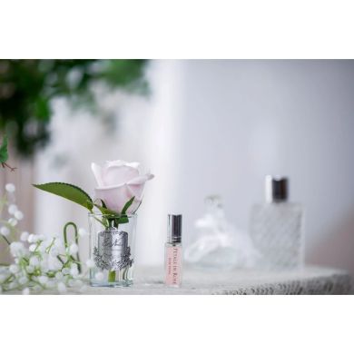 Аромат для помещения бутон Розы French pink в прозрачном стакане с фетилем Cote noire GMR46