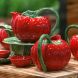Глечик 2,75 л Tomato Bordallo Pinheiro 65026853