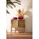 Декоративний посуд для зберігання з кришкою &Oslash;17x16 см CORAL, червоний Light&Living 5741217