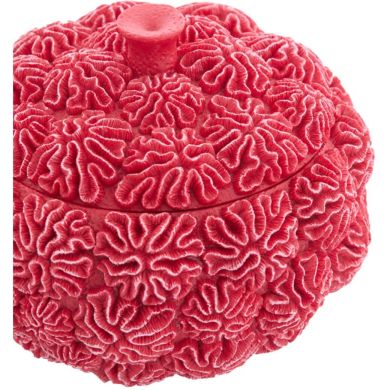 Декоративний посуд для зберігання з кришкою &Oslash;17x16 см CORAL, червоний Light&Living 5741217