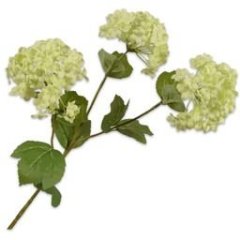 Сніжна куля (калина), гілка, світло-зелена, 62 см Silk-ka 161434
