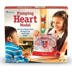 Навчальна модель Серце Learning Resources LER3535