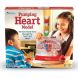 Учебная модель Сердце Learning Resources LER3535