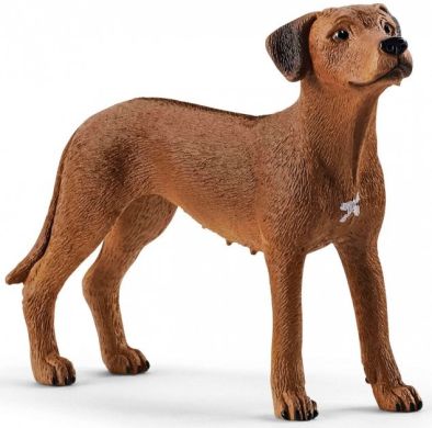 Игрушка-фигурка Schleich Родезийский риджбек 13895