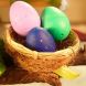 Растущая игрушка в яйце «Eggy Animals» ПТИЦЫ (в дисплее) 91/CN22
