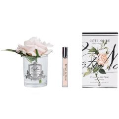 Аромат для приміщення троянда Champagne Pink, ваза срібло Cote noire GMR15