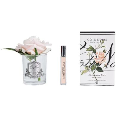 Аромат для помещения роза Champagne Pink, ваза серебро Cote noire GMR15