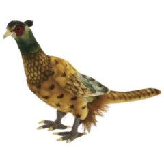 Мягкая игрушка Фазан высота 31 см 3846