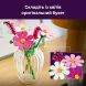 Конструктор Квіти космеї Lego Botanicals 11514