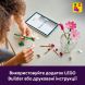 Конструктор Квіти космеї Lego Botanicals 11514