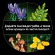 Конструктор Лісові гриби Lego Botanicals 11505