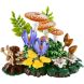 Конструктор Лісові гриби Lego Botanicals 11505