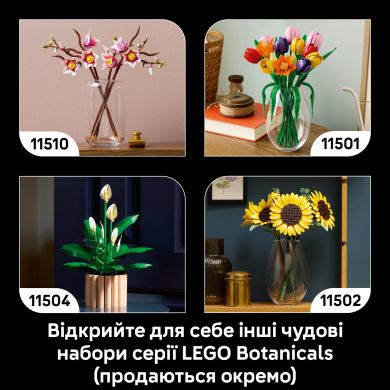 Конструктор Лісові гриби Lego Botanicals 11505