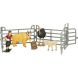 Набір іграшок тварини Ферма в асортименті KIDS TEAM Q9899-X20