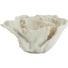 Орнамент 23x16x13 см CORAL кремовый Light&Living 7610343