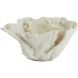 Орнамент 23x16x13 см CORAL кремовый Light&Living 7610343