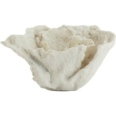 Орнамент 23x16x13 см CORAL кремовый Light&Living 7610343