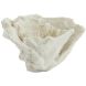 Орнамент 23x16x13 см CORAL кремовый Light&Living 7610343