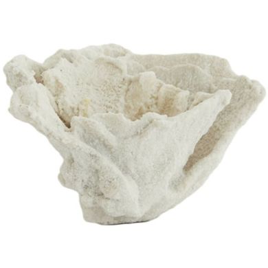 Орнамент 23x16x13 см CORAL кремовый Light&Living 7610343