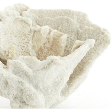 Орнамент 23x16x13 см CORAL кремовый Light&Living 7610343