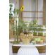 Підсвічник &Oslash;10x25 см AVELINE оливково-зелений Light&Living 6083969
