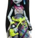 Кукла Фрэнки Монстро-фестиваль Monster High HXH79