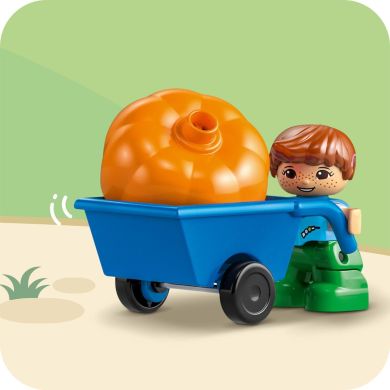 Конструктор LEGO Домик на дереве 3 в 1 DUPLO Town 10993