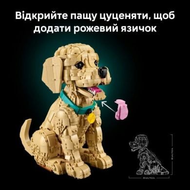Конструктор Щенок золотистого ретривера Icons Lego 11384