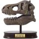 Музейний череп динозавра T-Rex BUKI FRANCE 2130