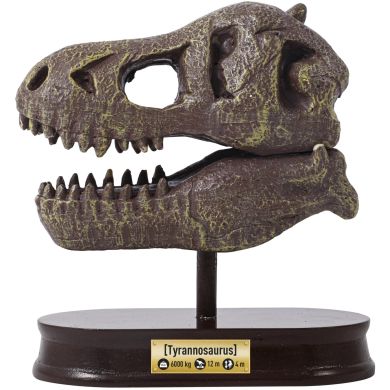Музейний череп динозавра T-Rex BUKI FRANCE 2130