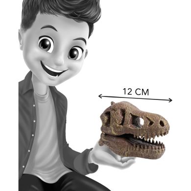Музейний череп динозавра T-Rex BUKI FRANCE 2130