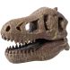 Музейний череп динозавра T-Rex BUKI FRANCE 2130