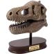 Музейний череп динозавра T-Rex BUKI FRANCE 2130