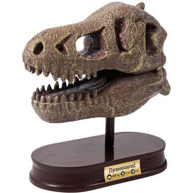 Музейний череп динозавра T-Rex BUKI FRANCE 2130