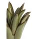 Підсвічник &Oslash;11,5x11,5 см CACTUS керамічний темно-зелений Light&Living 6061581