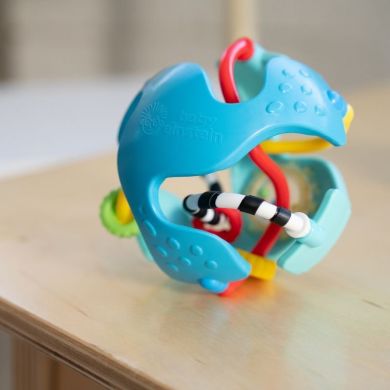 Погремушка Baby Einstein Rattle & Sense 17354
