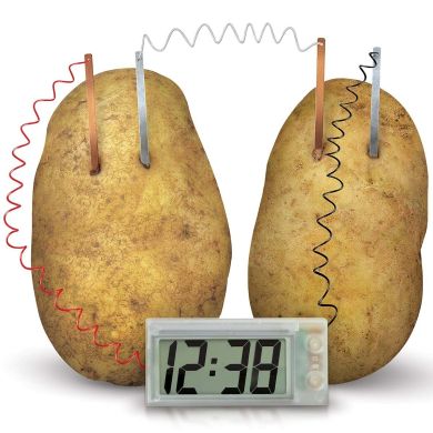 Набор для исследований 4M Картофельные часы 00-03275