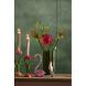 Украшение 13x8x20 см SWAN стекло розовый Light&Living 7600889