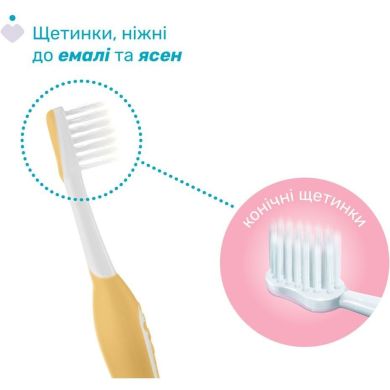 Зубна щітка Chicco для перших зубів, 6-36 міс., 2 шт. Chicco 12082.00