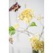 Гортензия, ветка, кремово-зеленая, 99 см. Silk-ka 160479