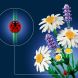 Конструктор LEGO Botanicals Ромашки 11508