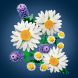 Конструктор LEGO Botanicals Ромашки 11508