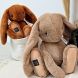 М'яка іграшка DouDou Зайчик LE LAPIN 32 см капучино HO3246