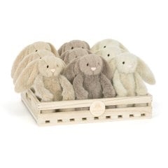 Мягкая игрушка Забавный Кролик в ассортименте Jellycat BASS24TEX