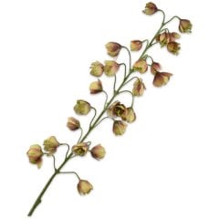 Фритилярия, ветка, коричнево-зеленая, 111 см. Silk-ka 160470