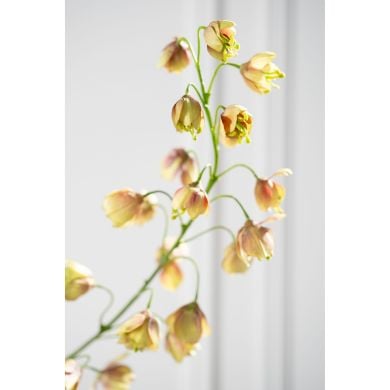 Фритилярия, ветка, коричнево-зеленая, 111 см. Silk-ka 160470